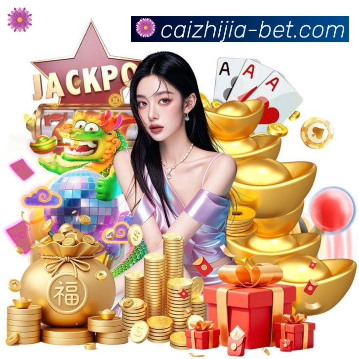 体育数据展示